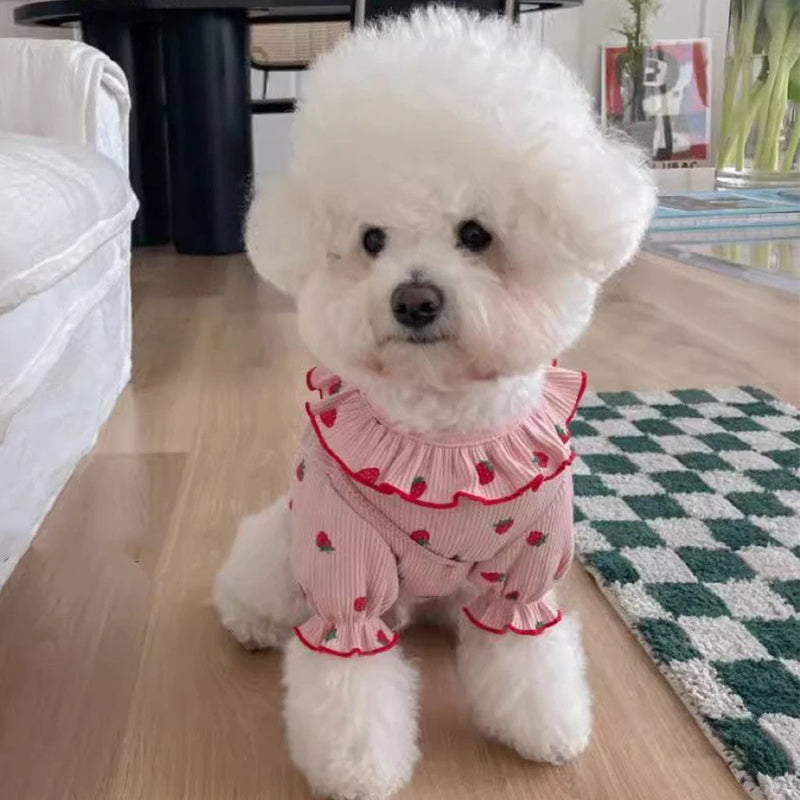 Chaleco de Fresa para Perros Pequeños