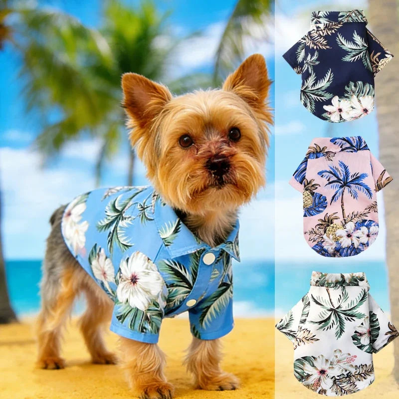 Un chien doux, brun clair, portant une chemise de plage hawaïenne bleue contre un fond d'océan bleu vif.
