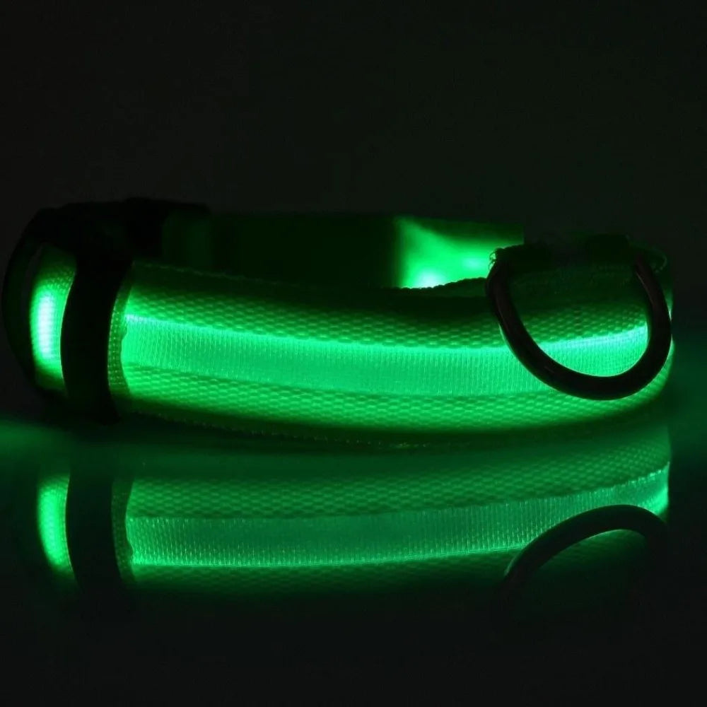 A glowing green reflective LED dog collar resting on a dark surface.
