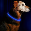 USB-wiederaufladbarer LED-Hundehalsband für mehr Sicherheit bei Nacht