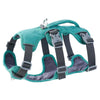 A teal padded dog harness with a gray control handle and straps.