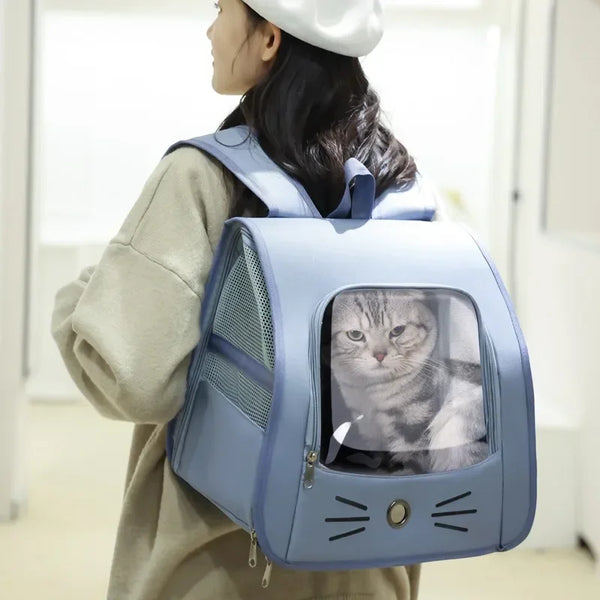 A person is holding a light blue breathable pet carrier backpack designed for cats and small dogs.