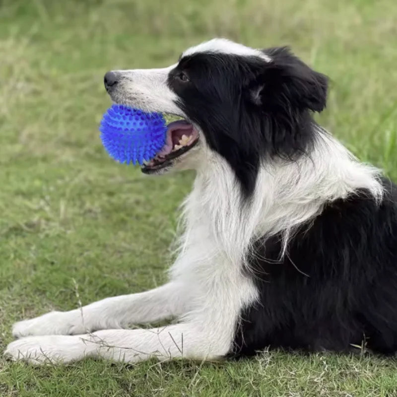 Squeaky Rubber Dog Ball Toy