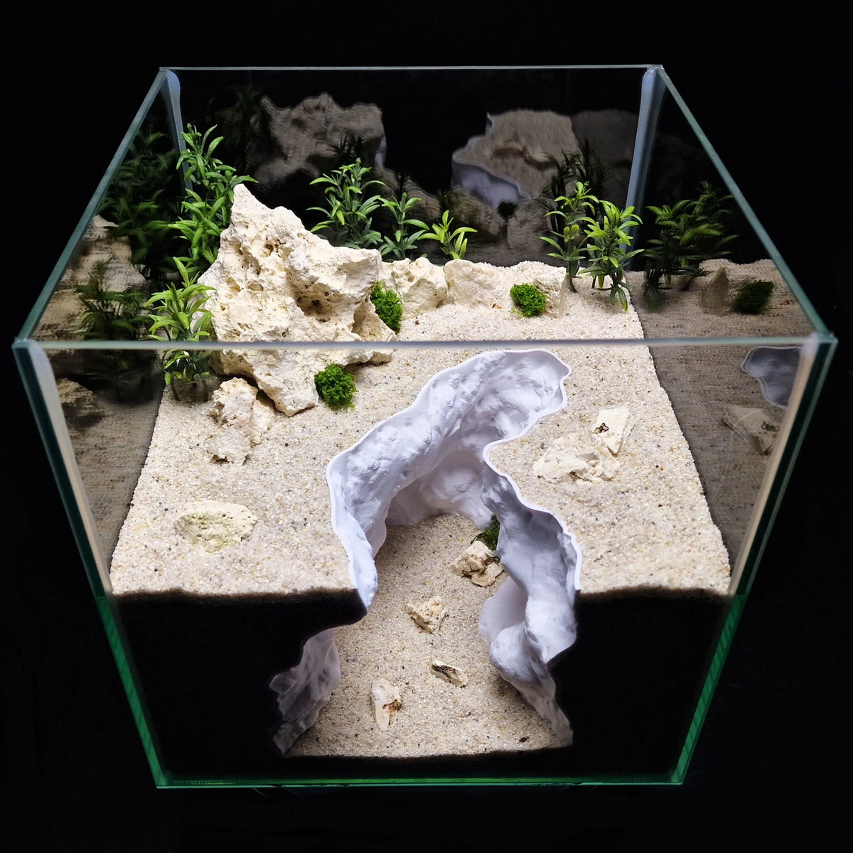 A clear glass aquarium features a miniature natural terrain landscape with rocks and small green plants.