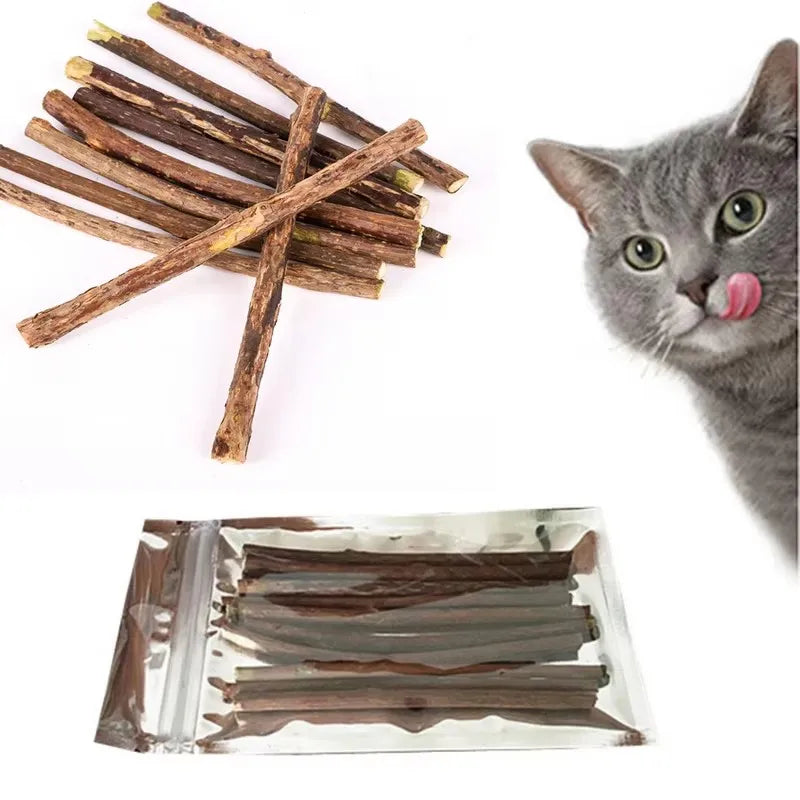 Eine graue Katze leckt ihre Lippen neben mehreren natürlichen Holzknochen für Katzen.