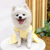Ein flauschiger weißer Hund in einem gelben Pettdress auf einer weißen Oberfläche.