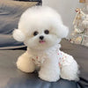 A fluffy white dog wearing a floral print pet vest, sitting on a dark surface.