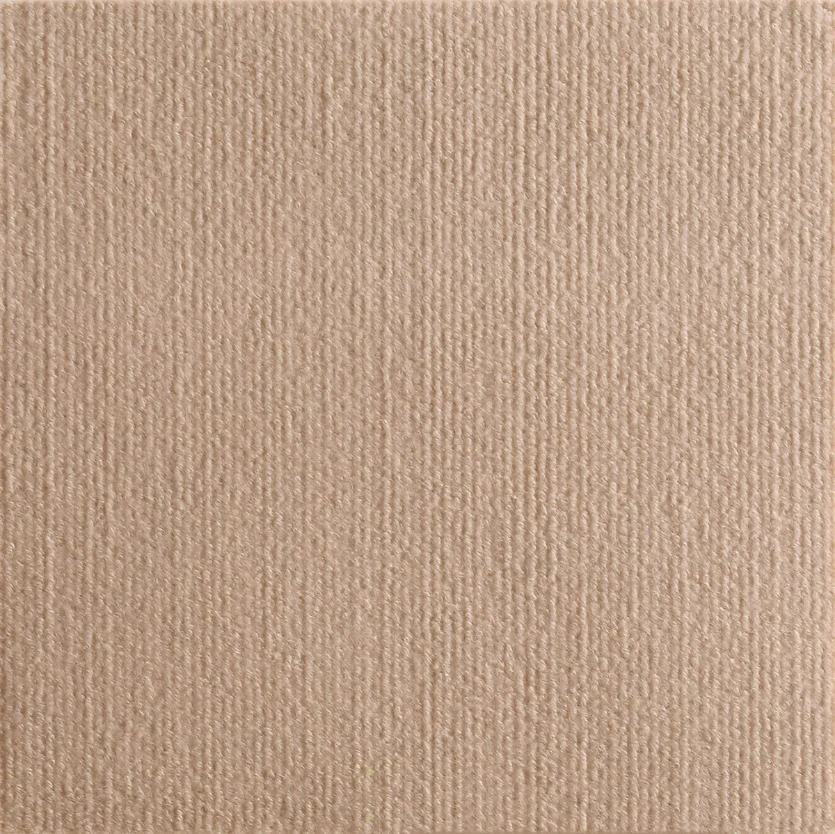 A close-up texture of a beige self-adhesive cat scratching mat fabric.