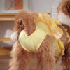 Cute Printed Reusable Dog Diaper Pants for Small Breeds
