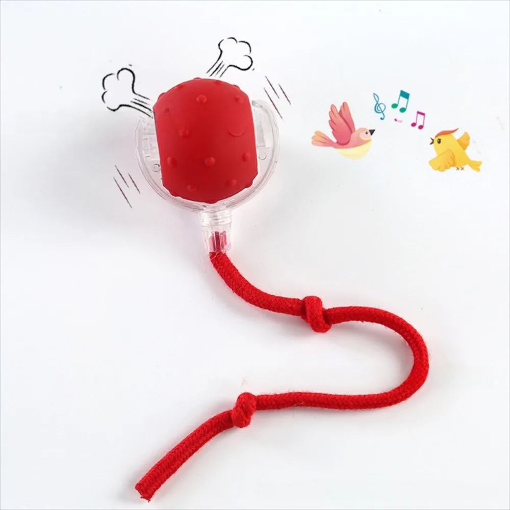 Interactive Rolling Cat Toy with Bird Sounds and Three Play Modes