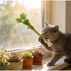 A gray cat is interacting with a green catnip chew stick near potted succulents by a window.