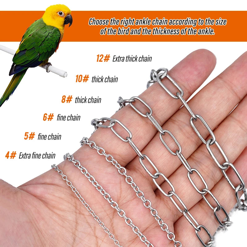 Stainless steel ankle chains of various thicknesses shown next to a yellow parrot