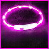 USB-aufladbarer LED-Hundehalsband