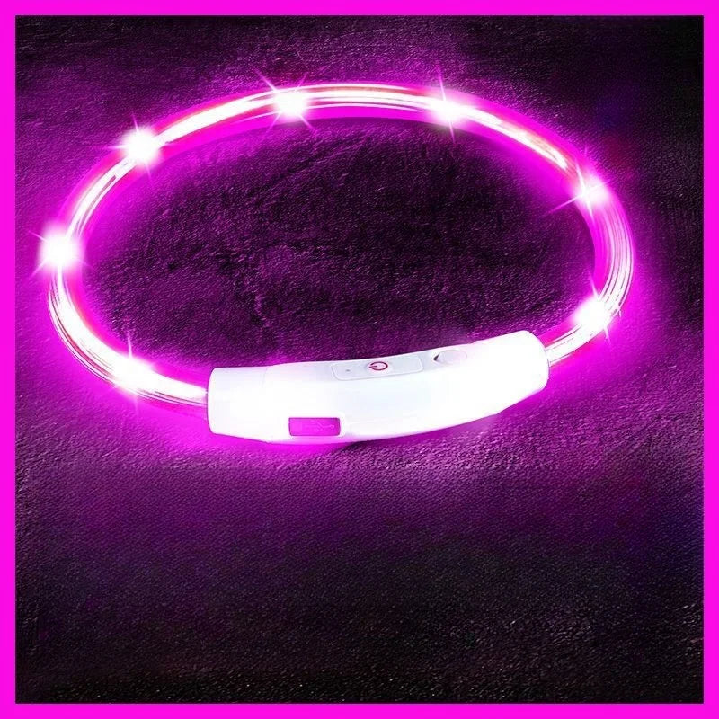 USB-aufladbarer LED-Hundehalsband