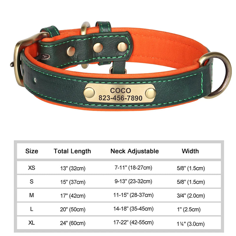 Personalisiertes Leder-Hundehalsband mit graviertem ID-Tag