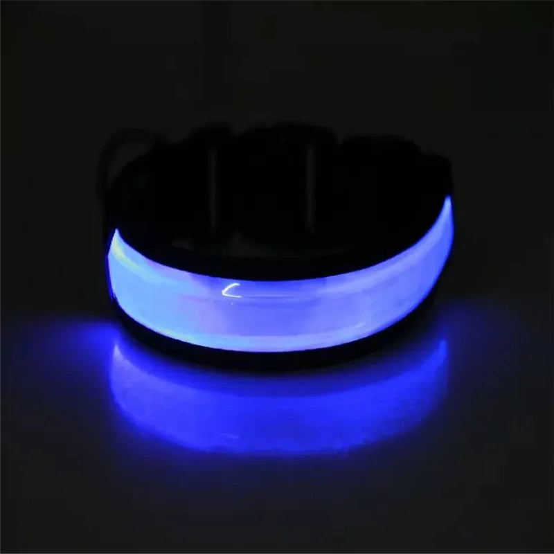 A glowing blue LED dog collar with a reflective surface resting on a dark surface.
