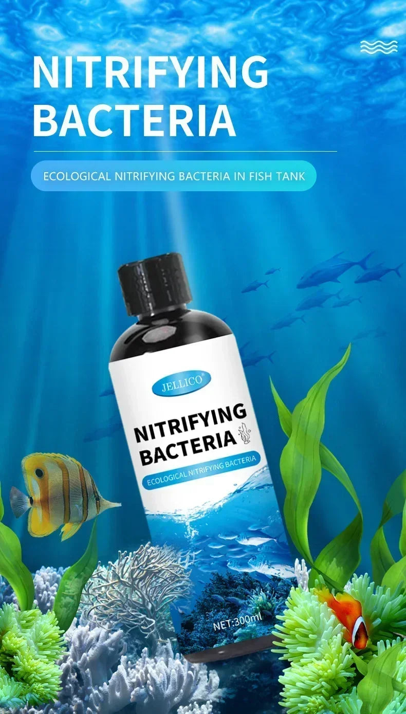 Bactéries nitrifiantes liquides 300ml pour le traitement de l'eau d'aquarium