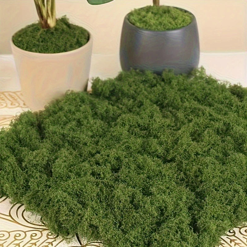 Natural Green Preserved Moss for DIY Crafts and Decor