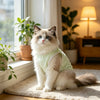 Breathable Fruit Print Pet Vest for Small Dogs and Cats