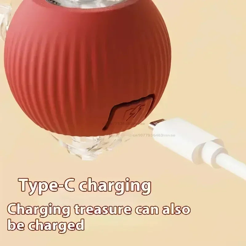 Interactive Automatic Rolling Cat Toy with Tail