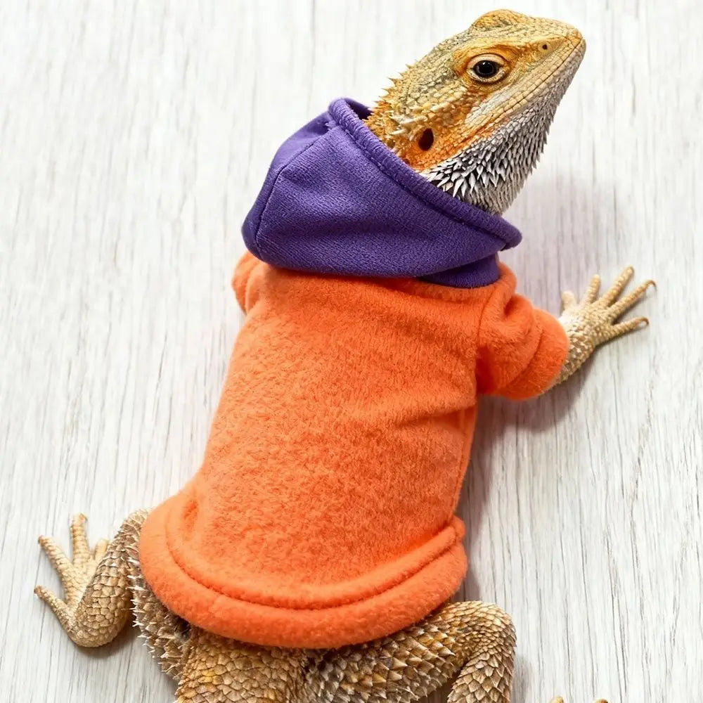 A bearded dragon costume featuring a lizard head and orange fabric covering.