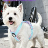 No-Pull Dog Harness with Reflective Strips