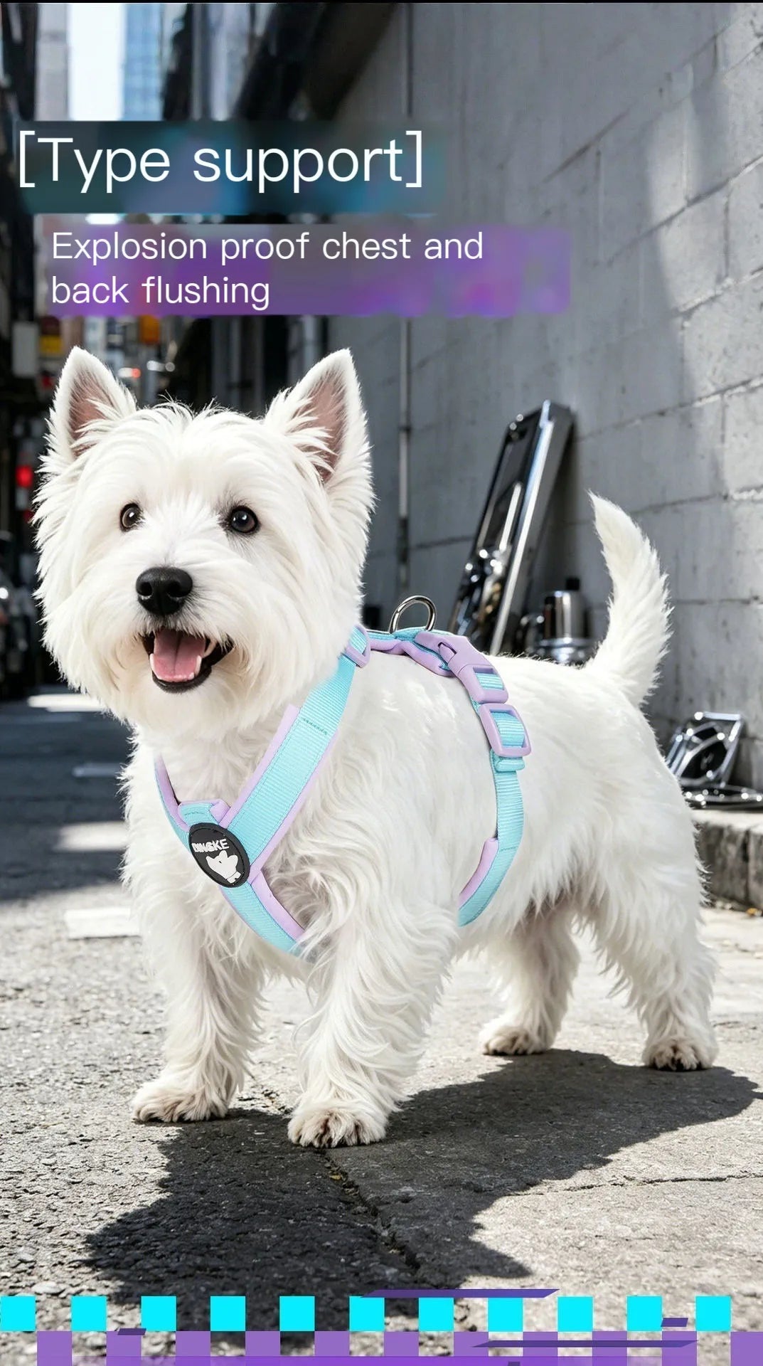 No-Pull Dog Harness with Reflective Strips