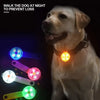 Collier de sécurité LED rechargeable par USB pour animaux