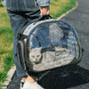A person holds a clear, foldable pet travel carrier with a gray tabby cat inside.