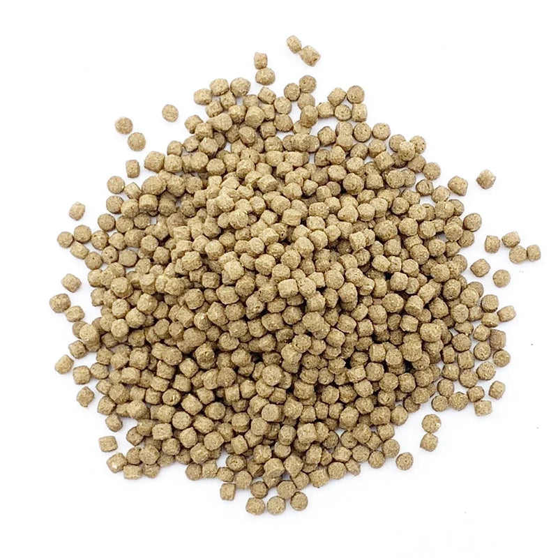 Spirulina Floating Fish Food for Tropical & Coldwater Species
