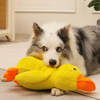 A fluffy dog is resting next to a bright yellow plush duck chew toy.
