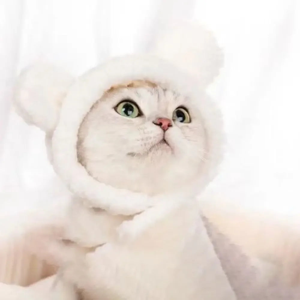 Adorable Knit Bear Hat for Cats and Dogs