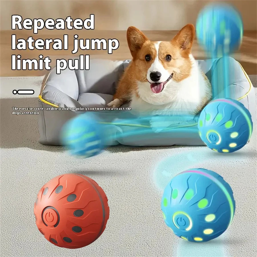 A dog is interacting with a blue and green ball toy designed for repeated lateral jump limit pull.
