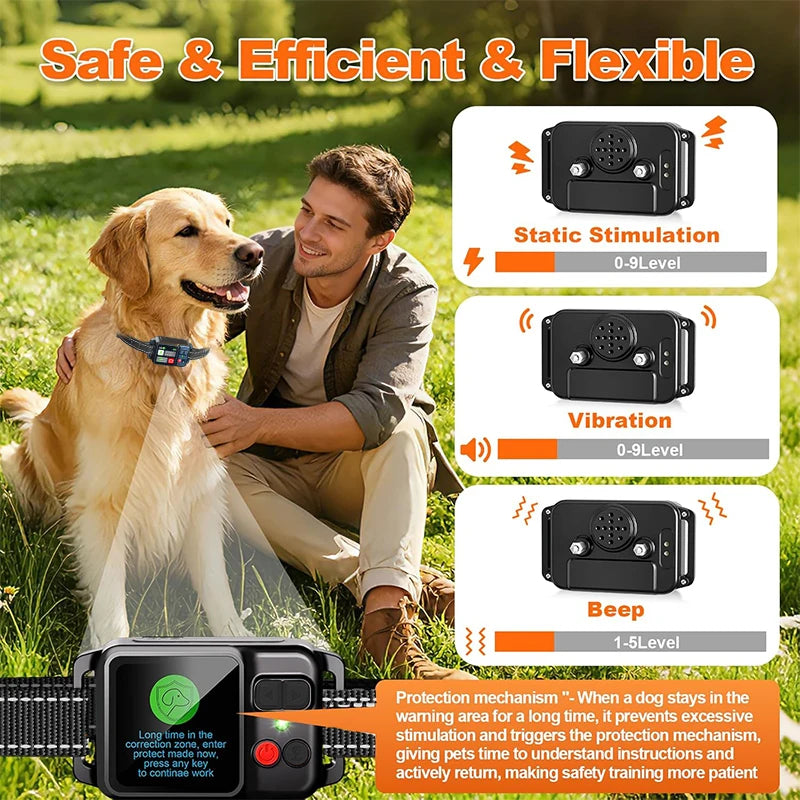A man is training a golden retriever with a pet collar that provides static stimulation, vibration, and a beep for safety.