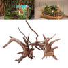 Natural Tree Trunk Driftwood Aquarium Decor for Fish Tanks