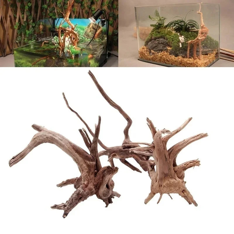Eine Sammlung trockener, verwitterter Baumstämme als natürliche Dekoration für ein Aquarium.