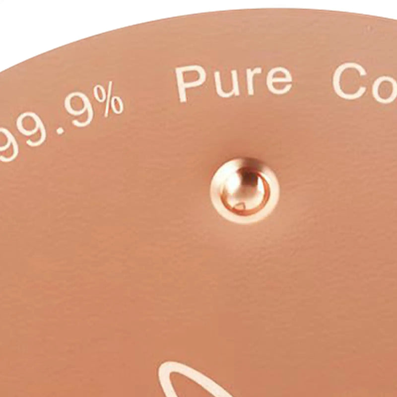 Disque de purification en cuivre naturel pour abreuvoir à oiseaux