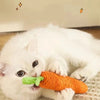 A white kitten is gently chewing an orange carrot plush teething toy.
