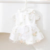Princess-Style Dog Dress with Bow and Butterfly Skirt