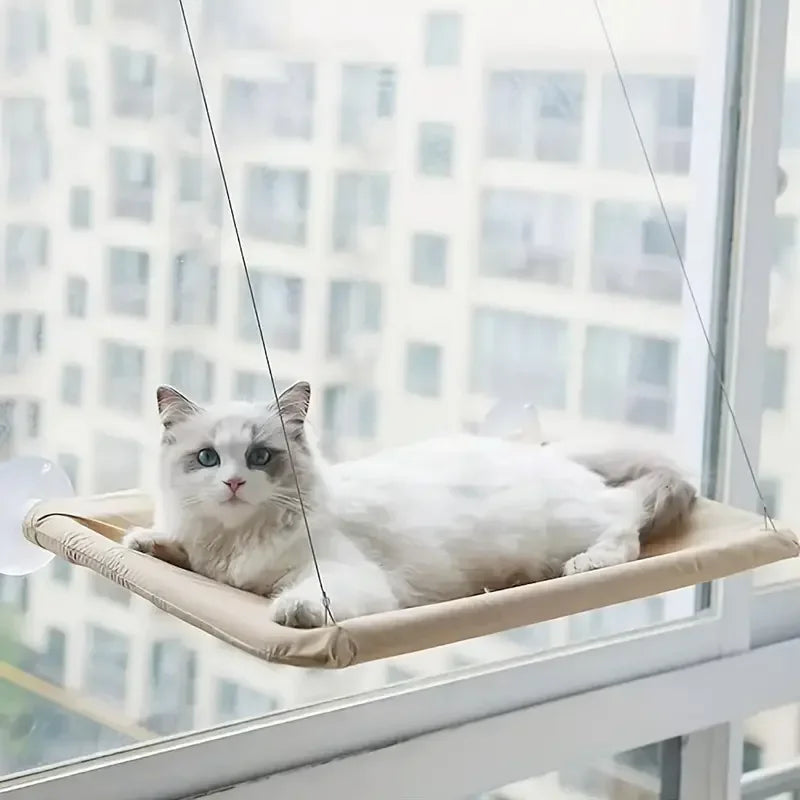 A white cat is relaxing in a beige window hammock suspended by thin strings in a bright indoor setting.