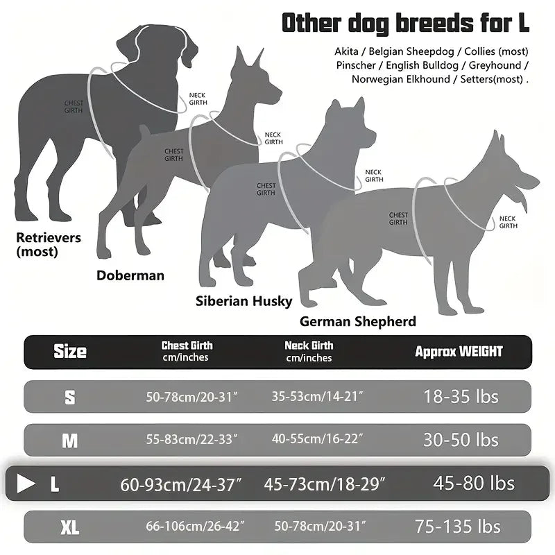 Vergleichstabelle von Größen und Gewichten verschiedener Hundezuchtlinien wie Retriever, Doberman, Sibirischer Husky und Ger.