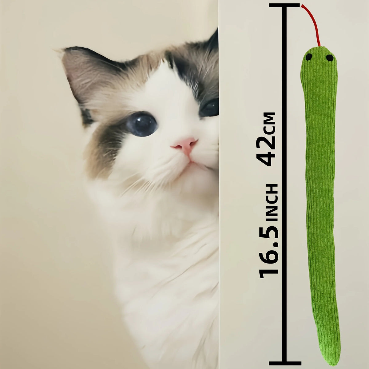 A green crinkle cat toy hanging vertically next to a cat, showing its size relative to the cat's face.