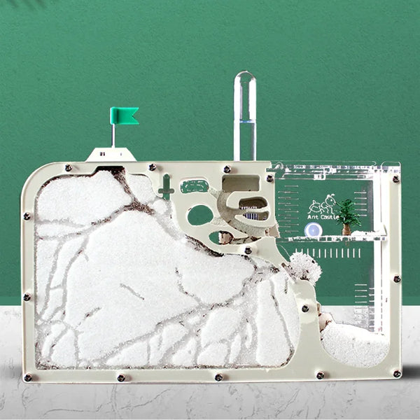 A large acrylic ant farm featuring a cracked landscape with feeding and breeding chambers.