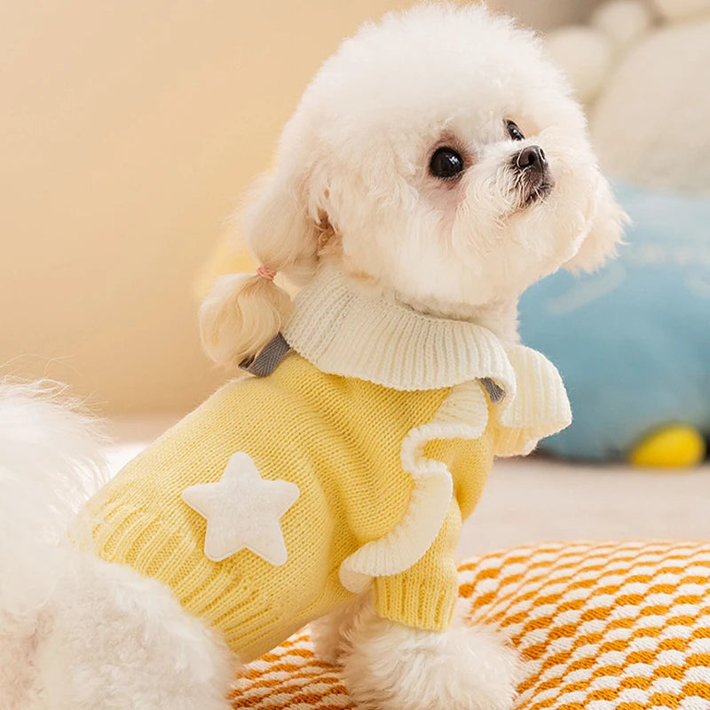 A fluffy white dog wearing a yellow knit sweater with white star accents, sitting on an orange plaid blanket.