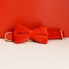 Personalisiertes Halsband, Geschirr & Leine Set mit abnehmbarem Fliegenknoten