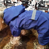 Adjustable Waterproof Dog Raincoat with Reflective Strap