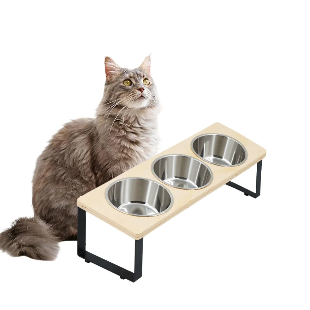 A fluffy gray cat looks over an elevated stand holding multiple stainless steel bowls for feeding.