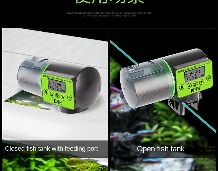 Zwei Ansichten eines automatischen Fischfutterers, der eine geschlossene und offene Konstruktion zum Füttern von Goldfischen 