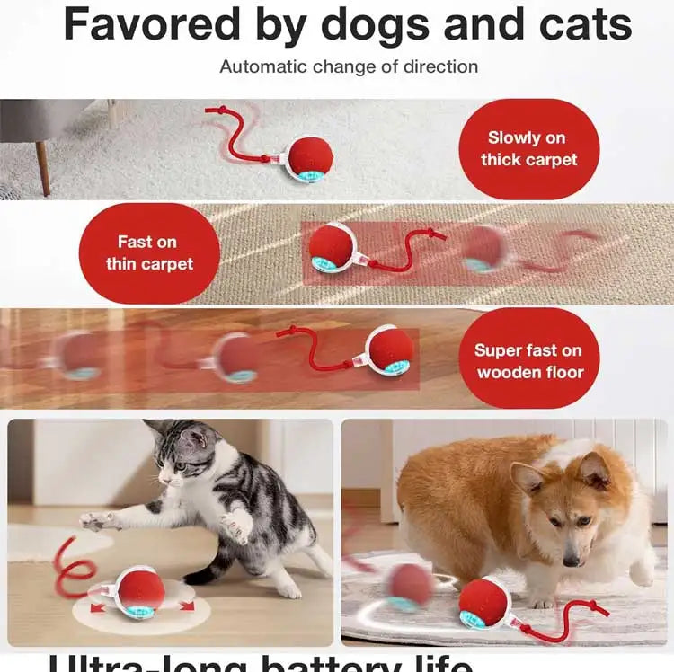 Interactive Chirping Cat Toy Ball with Motion Activation
