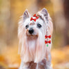 Pet Hair Bows with Rubber Bands - Assorted Styles for Small Dogs and Cats
